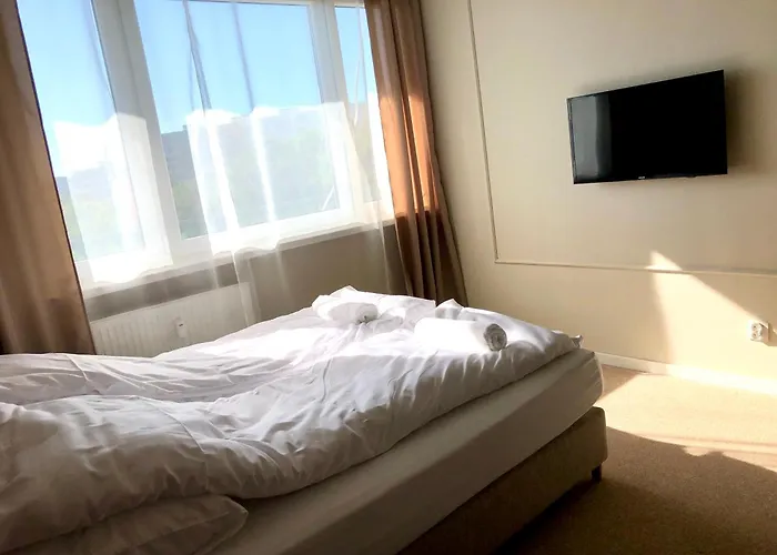 Daire Sands Startowa