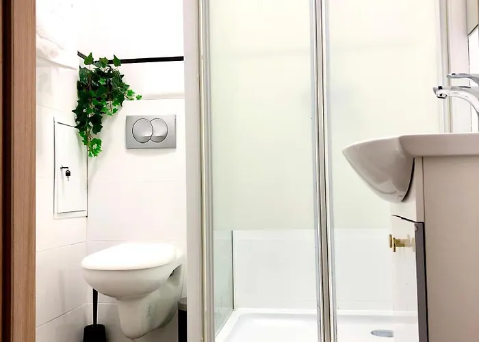 Daire Sands Startowa *